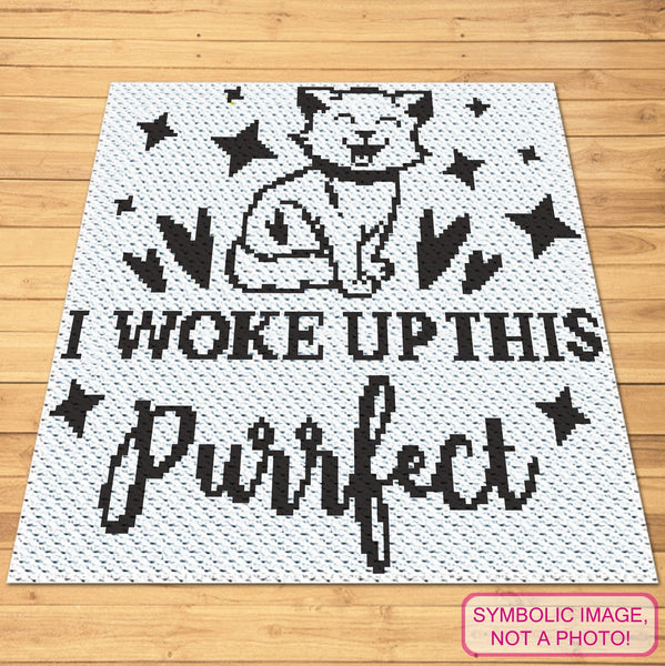 This Purrfect - C2C Cat Crochet Pattern