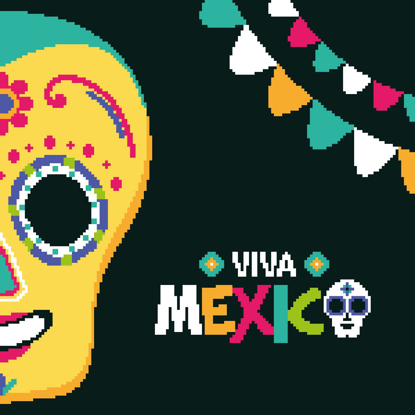Viva Mexico Crochet - Tapestry Crochet Blanket and Crochet Pillow Pattern