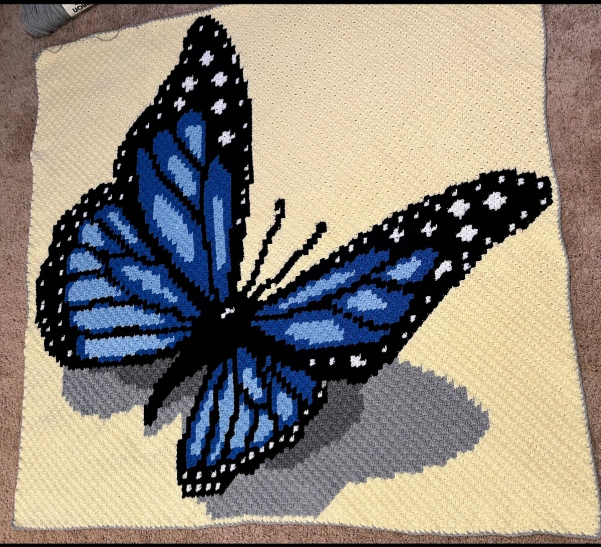 Butterfly graph crochet bundle with detailed wing markings, colorful chart, and instant-download PDF files.
Monarch Butterfly SC and C2C crochet bundle for beautiful handmade blankets and nature-inspired home decor.