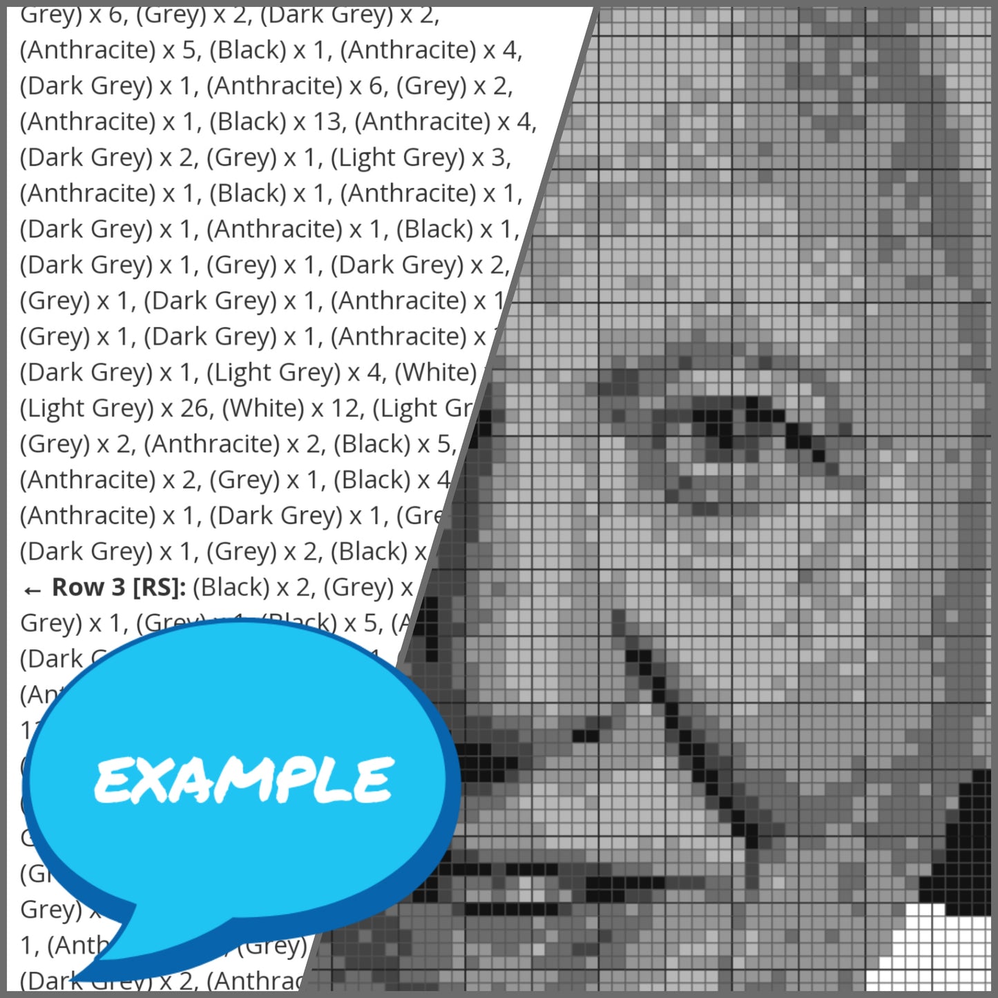 Crochet Portrait David Attenborough - Black and White Crochet Pattern