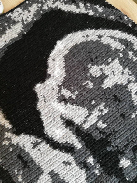 The Baby Ultrasound Crochet Pillow Pattern, Tapestry Crochet Blanket Pattern