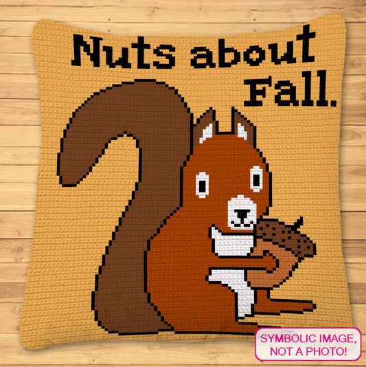 Nuts About Fall Crochet Pattern, Crochet Squirrel Pattern, Crochet Pillow Case