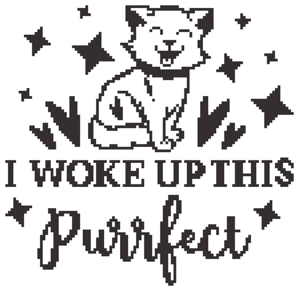 This Purrfect - C2C Cat Crochet Pattern