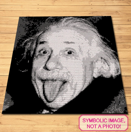 Crochet Celebrity Albert Einstein, Crochet Blanket Pattern, Crochet Pillow Pattern