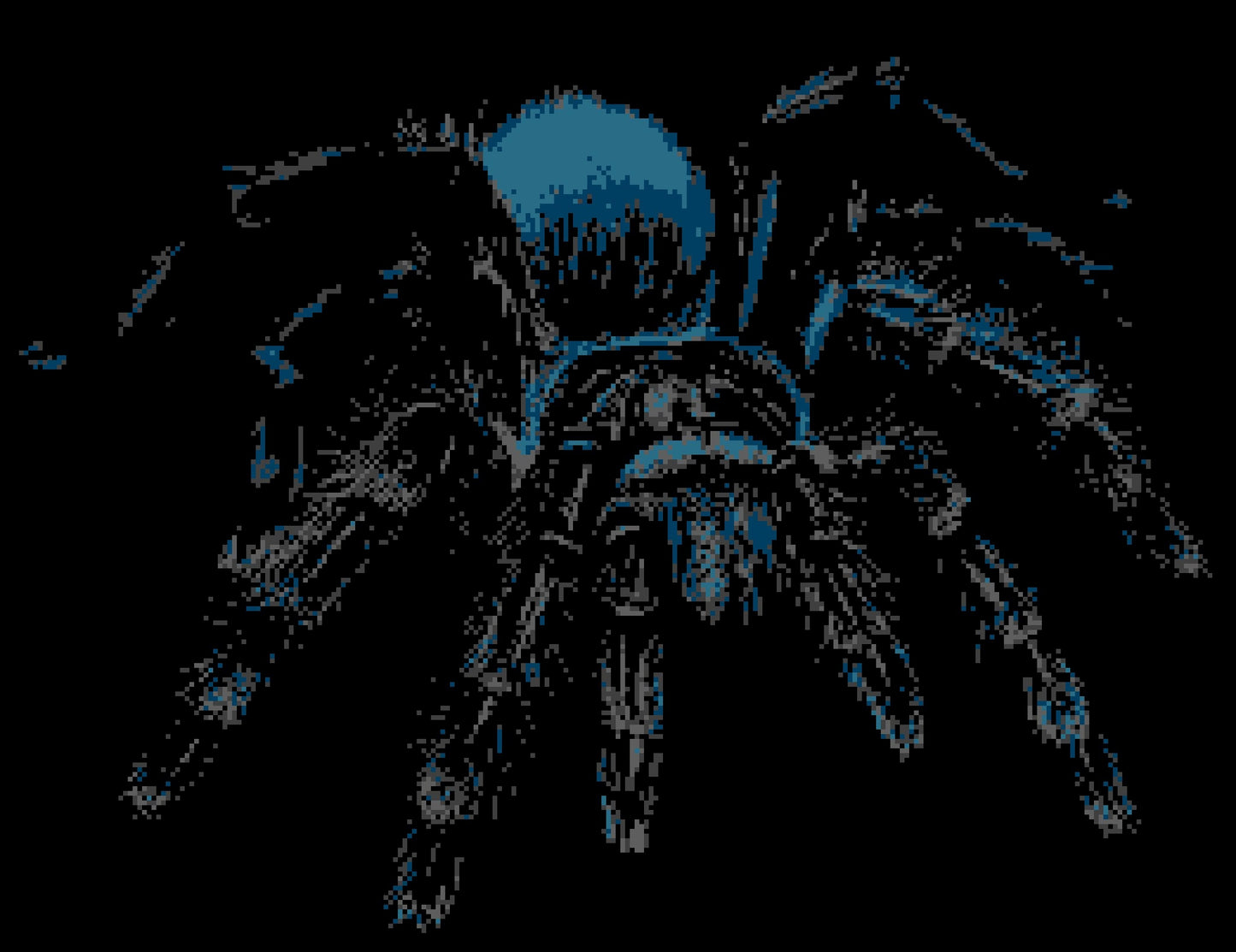 Crochet Tarantula Pattern - Tapestry Crochet Blanket Pattern