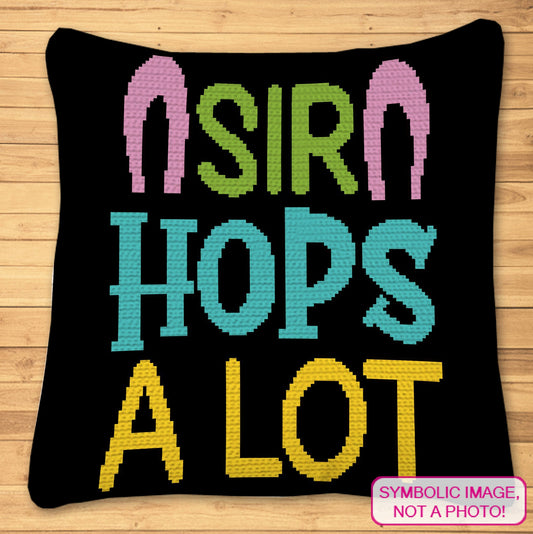 Crochet Boy Pattern - Easter Crochet Pillow Pattern, Crochet Rabbit Pattern